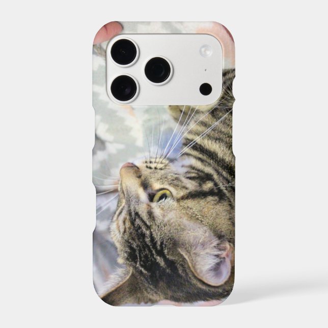 Cat (Back)