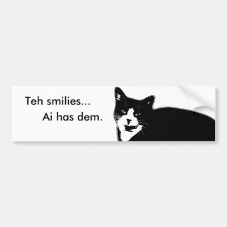 Cat2 Bumper Sticker