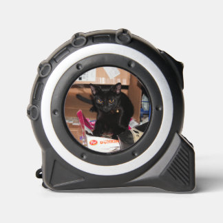 Cat 1