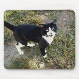 Cat 10, Mouse Pad