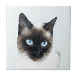 CAT 11 CERAMIC TILE