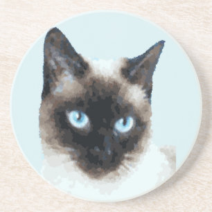 CAT 11 COASTER