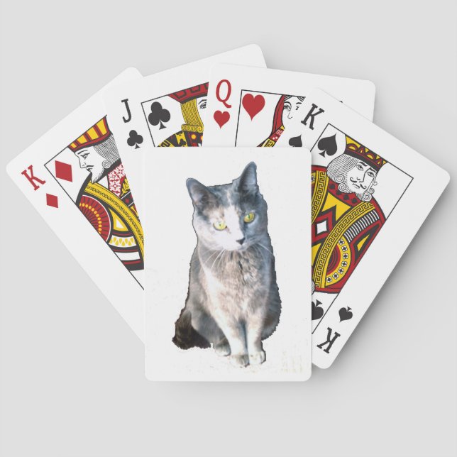 Cat 11 Playing Cards (Back)