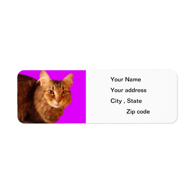 Cat 14 Return Address Label (Front)