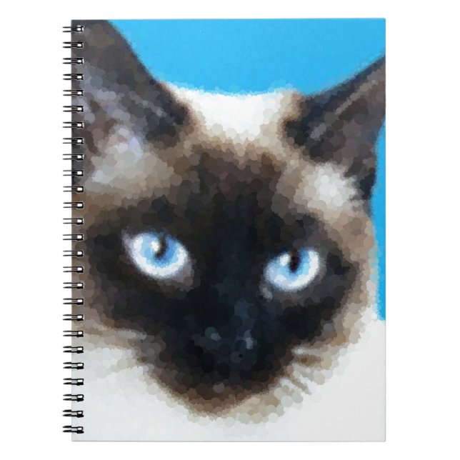 Cat 1 notebook (Front)
