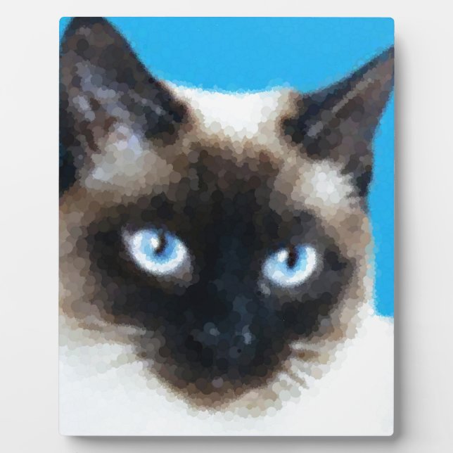 Cat 1 plaque (Front)