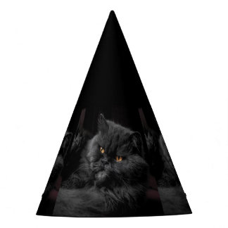 Cat_20180101_by_JAMFoto Party Hat
