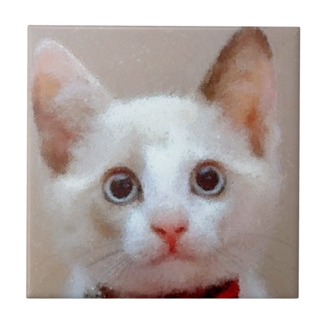 cat 3 ceramic tile (Front)