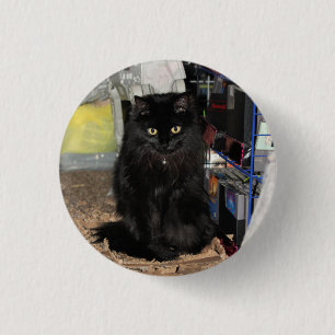 Cat    3 cm round badge