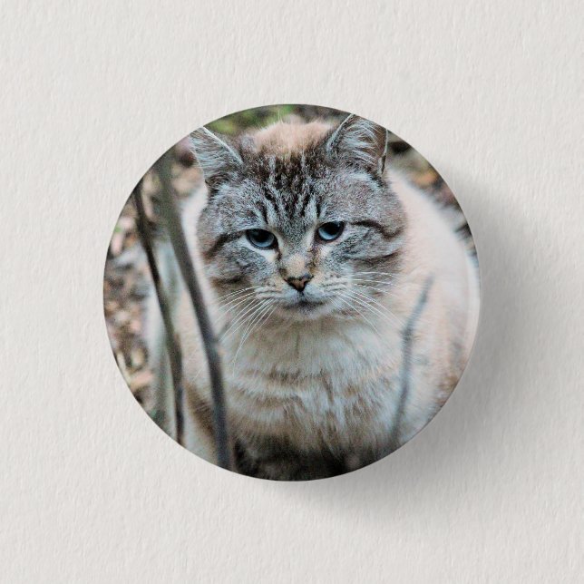 Cat 3 Cm Round Badge (Front)