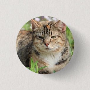 Cat 3 Cm Round Badge
