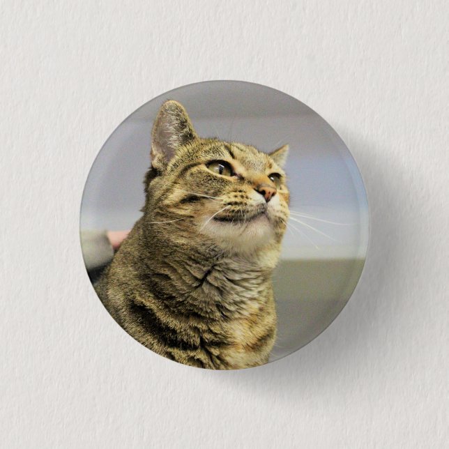 Cat   3 cm round badge (Front)
