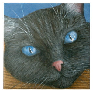 Cat 414 Black Cat Ceramic Tile