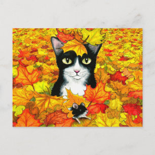 cat 447 postcard