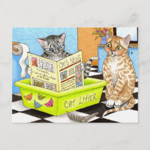 cat 464 postcard