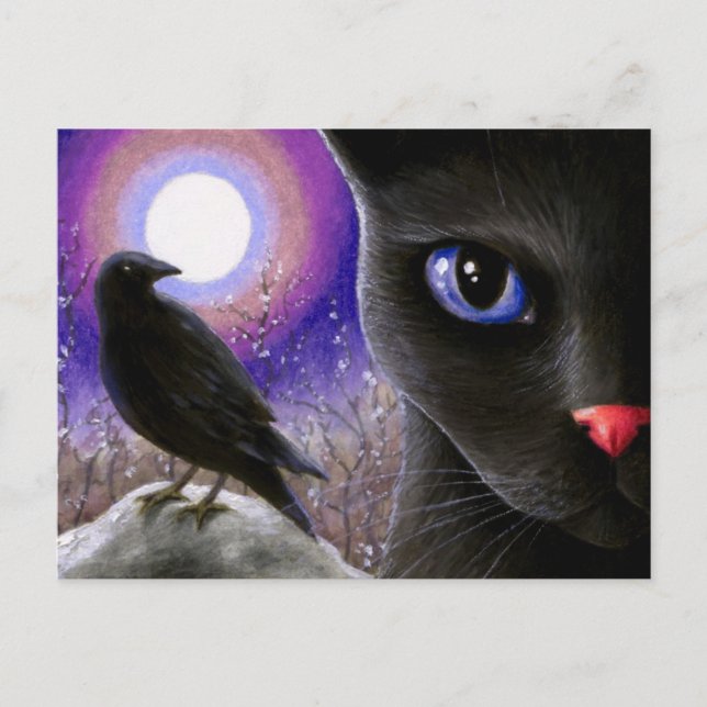 Cat 570 postcard (Front)