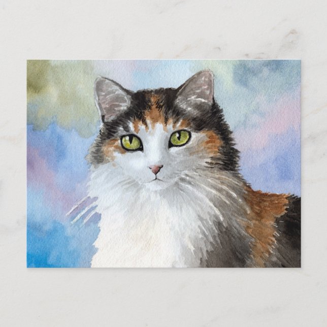 Cat 572 postcard (Front)