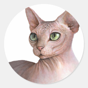 Cat 578 Sphynx white background Classic Round Sticker