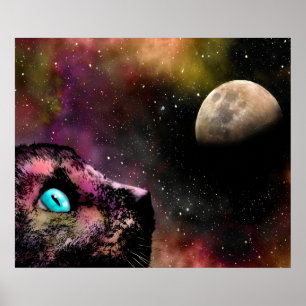 Cat 619 poster