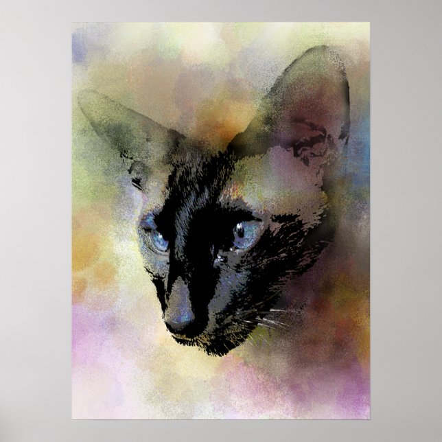 Cat 620 Siamese Poster (Front)