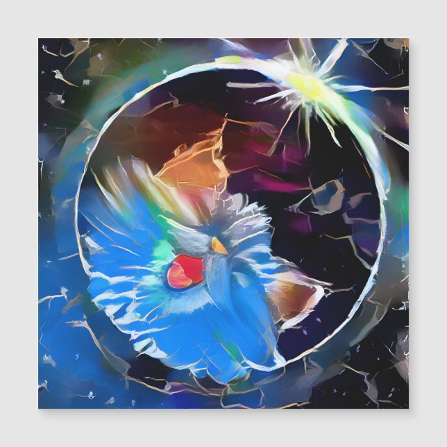 Cat 6 - Solar eclipse (Front)