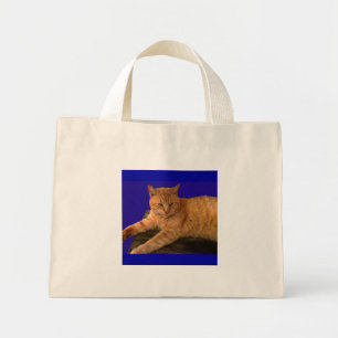 Cat 8, Tote
