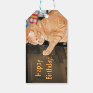 cat·a·stroph·ic birthdays not allowed Gift Tag