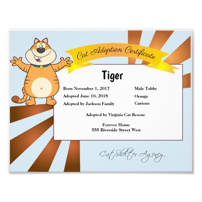 Cat Adoption Certificate Photo Print (Front)