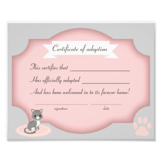 cat adoption party  certification paper photo print