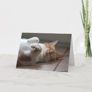 Cat adorable Thinking of you Card