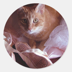 Cat and Ballet Slippers Classic Round Sticker