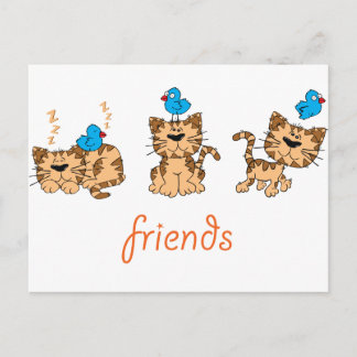 Cat and Bird - friends Postcard