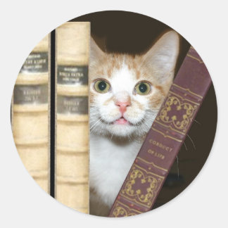 Cat and books classic round sticker