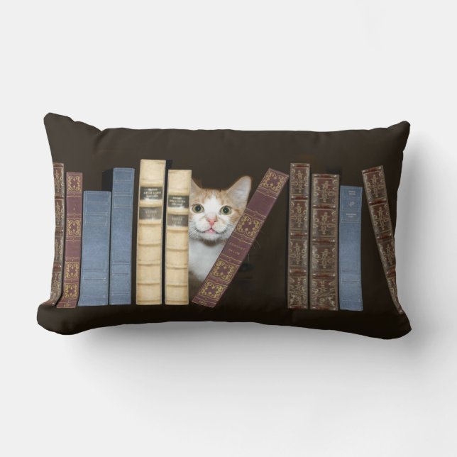 Cat and books lumbar cushion (Front)