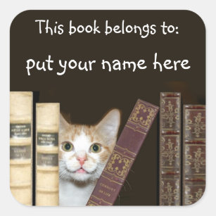 Cat and books name square sticker