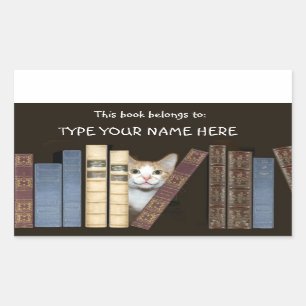 Cat and books rectangular sticker