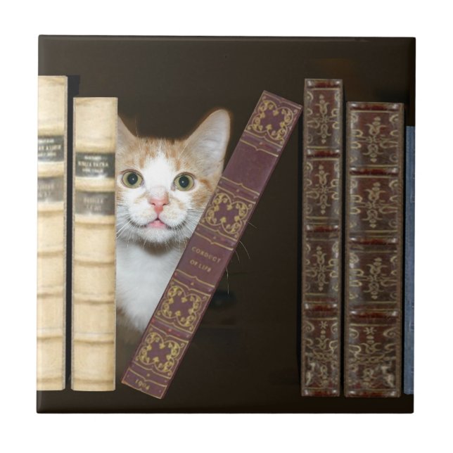 Cat and books tile (Front)