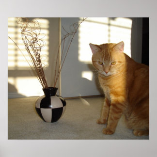 cat and chequered vase poster