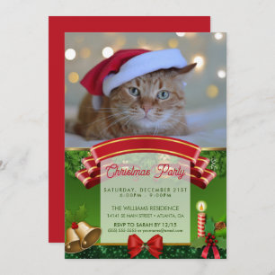 Cat and Christmas lights                 Invitation