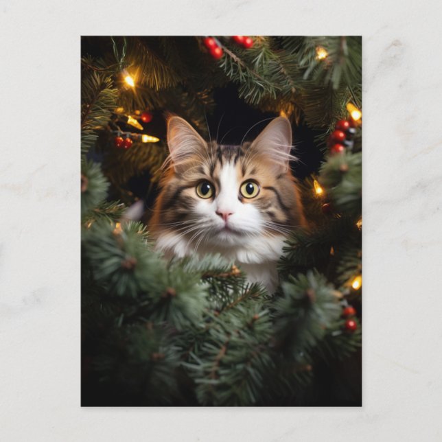 Cat and Christmas Tree Postcard (Front)