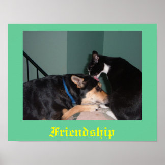 cat and dog friendship poster