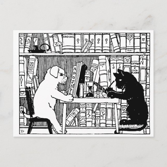 Cat and Dog in the Library Postcard (Front)