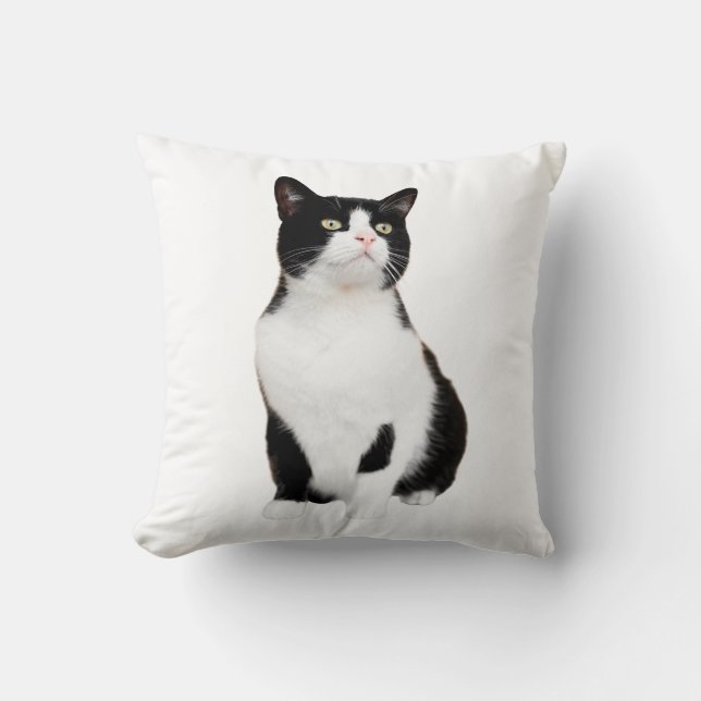 Cat and Dog, Pet Throw Pillow 16" x 16" (Front)