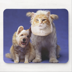 Cat and dog with masks mouse pad