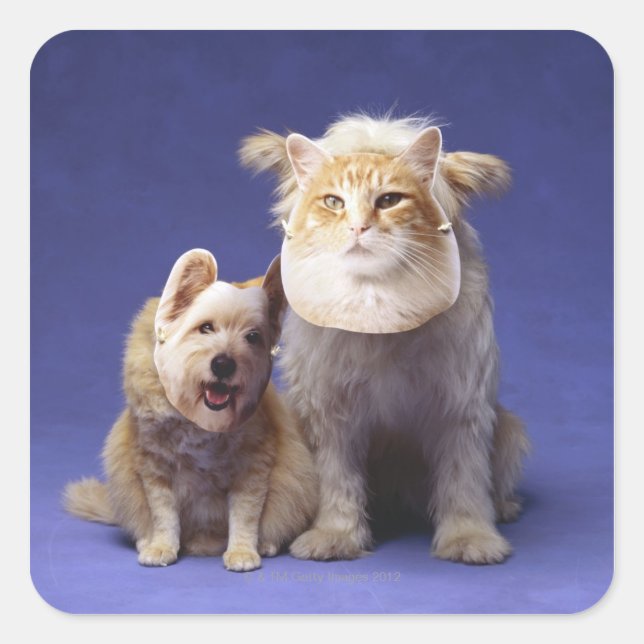 Cat and dog with masks square sticker (Front)