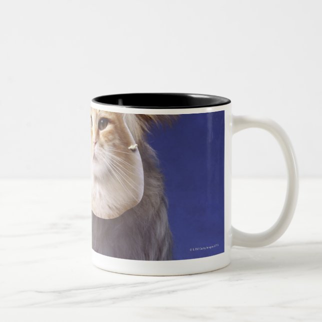 Cat and dog with masks Two-Tone coffee mug (Right)