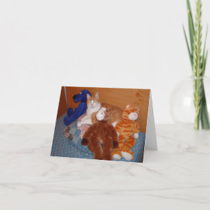 Cat and Friends Valentines Day card