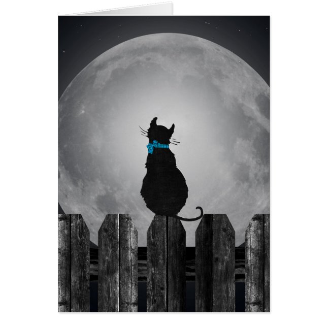 Cat and full moon (Front)