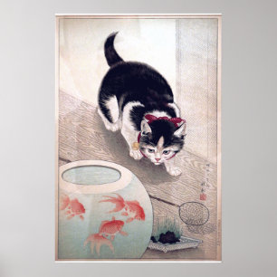 Cat and Goldfish Bowl Poster