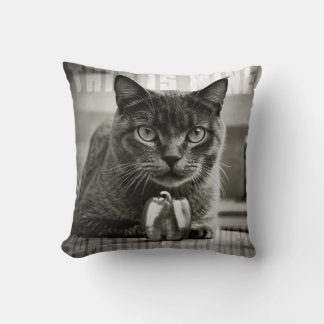 cat and green pepper cushion